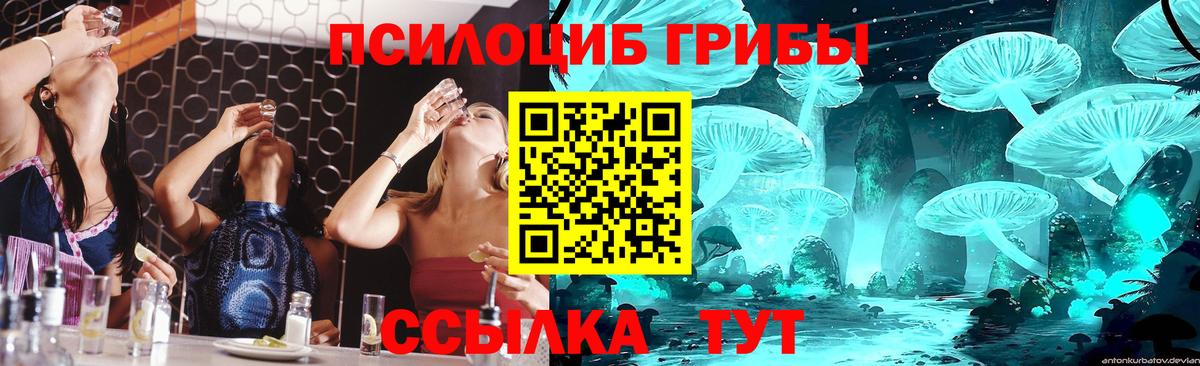 Чистополь  Галлюциногенные грибы ЛСД  Вход с VPN 